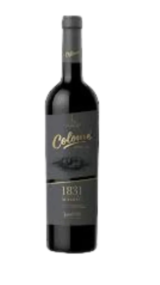 Colome 1831 Malbec 2021