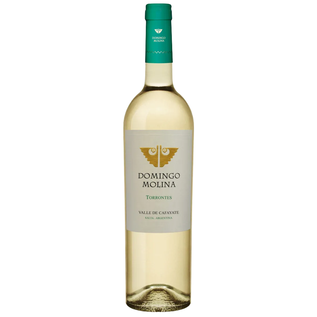 Domingo Molina Torrontes