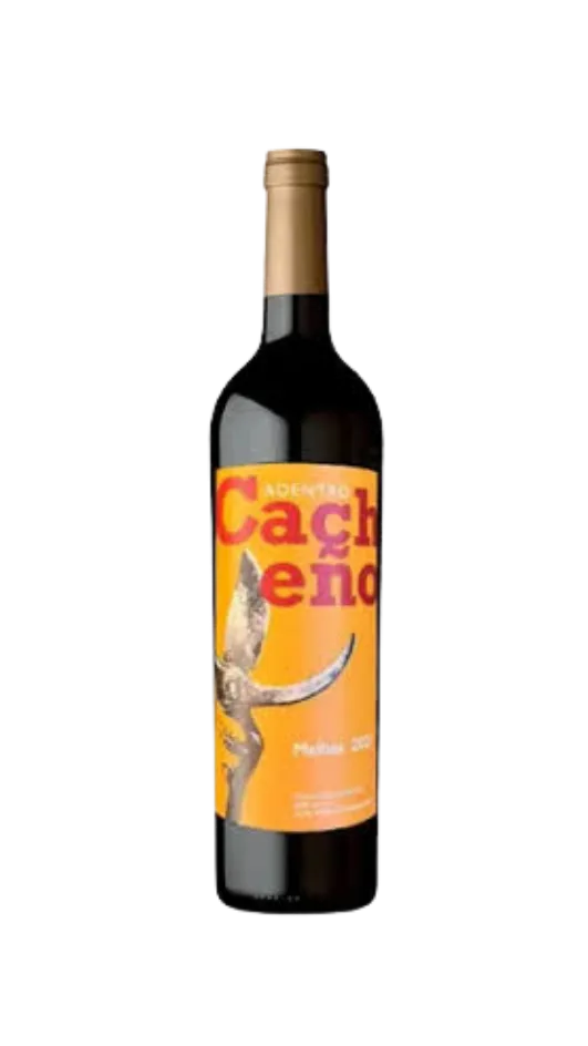 Cacheno Adentro Malbec 2023