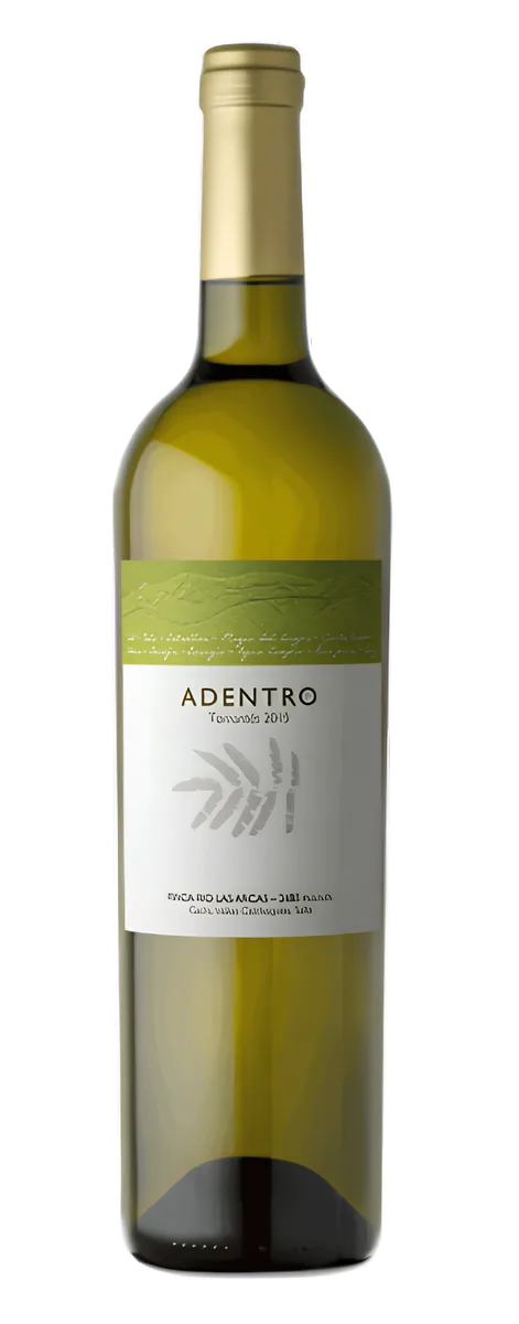 Adentro Gran Nevado Torrontes 2023