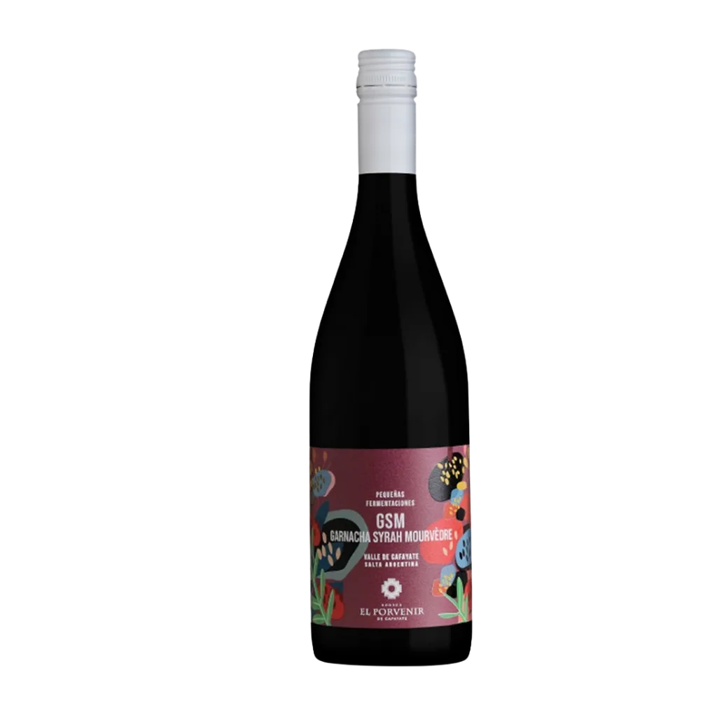 El Porvenir Peq Fer GSM