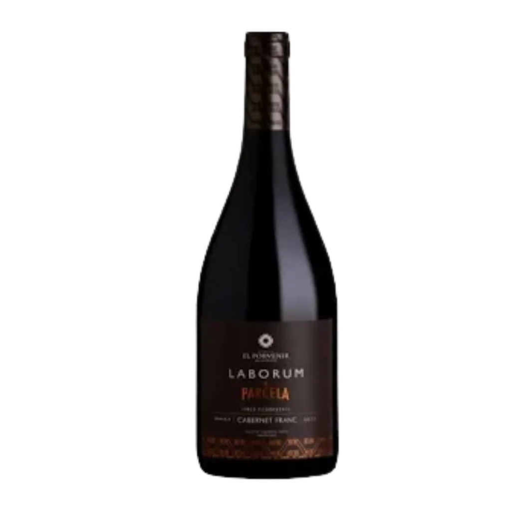 El Porvenir Laborum Cabernet Franc 2023