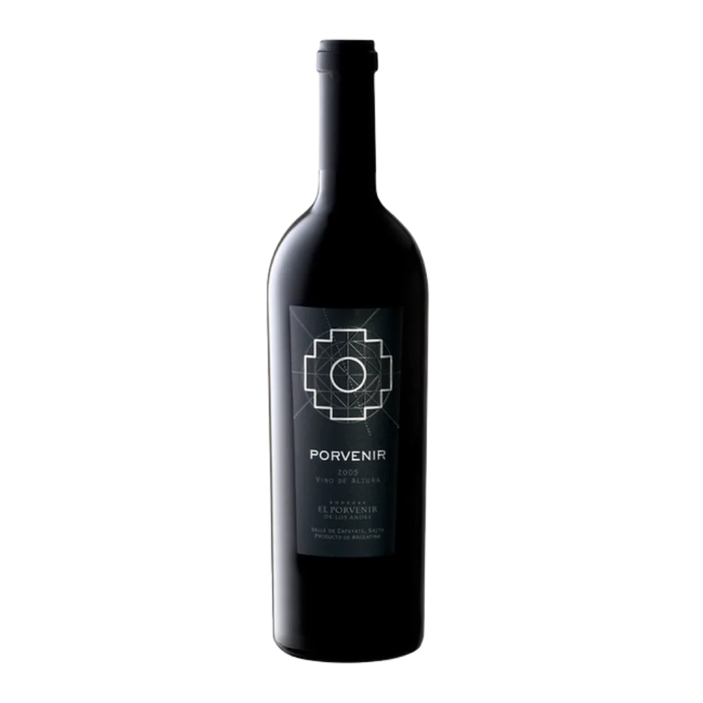 El Porvenir Icono 2017
