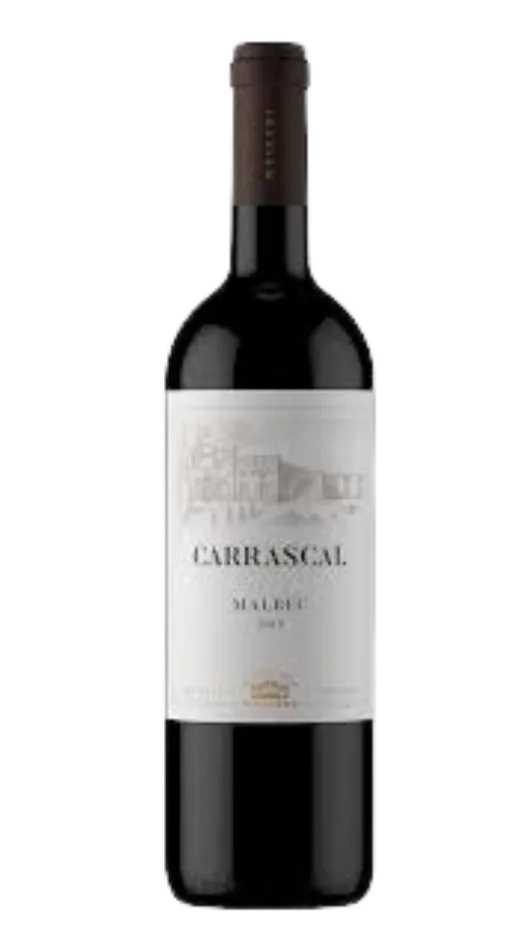 Carrascal Malbec 2022