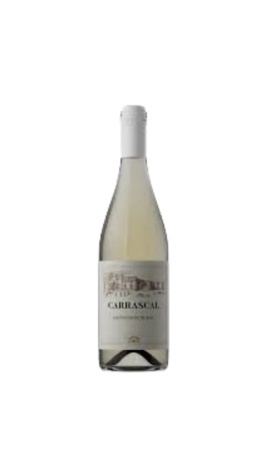 Carrascal Sauvignon Blanc 2024