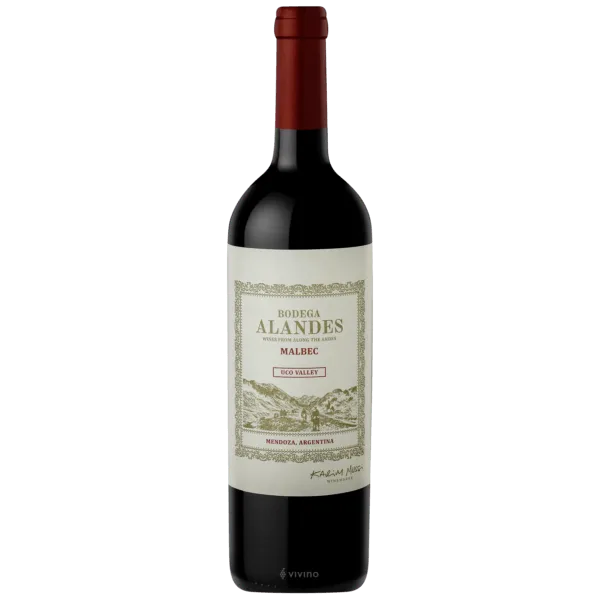 Alandes Malbec 2022 Valle de Uco