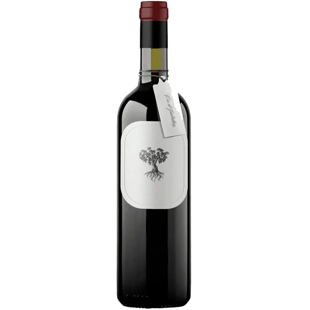 Cru de Gualtallary