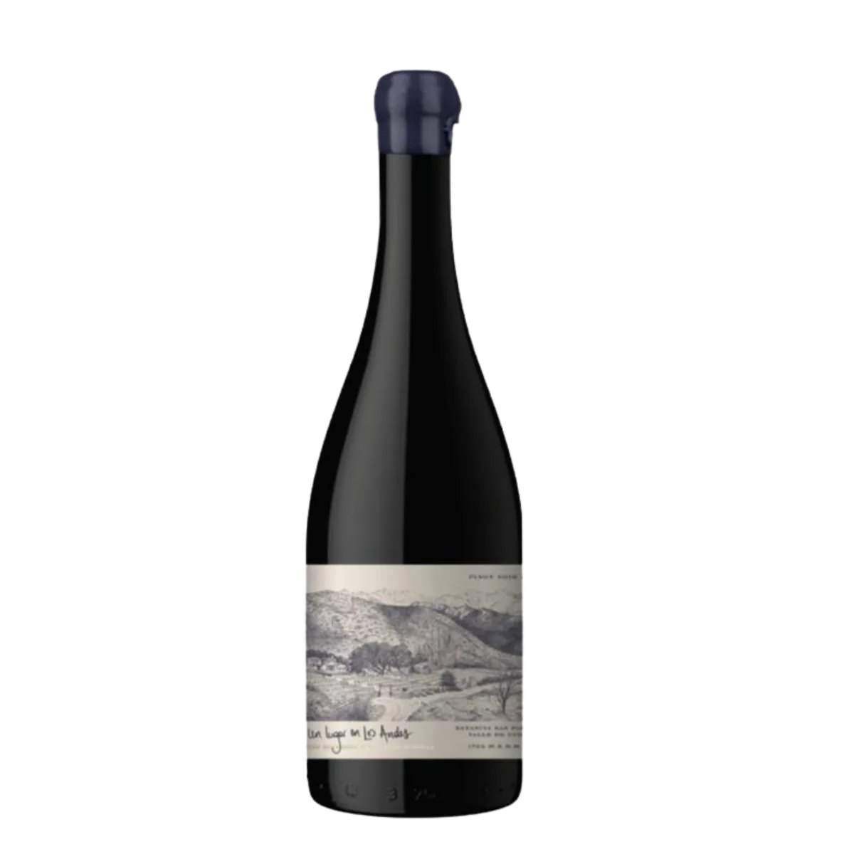 Un Lugar en los Andes Pinot Noir 2021